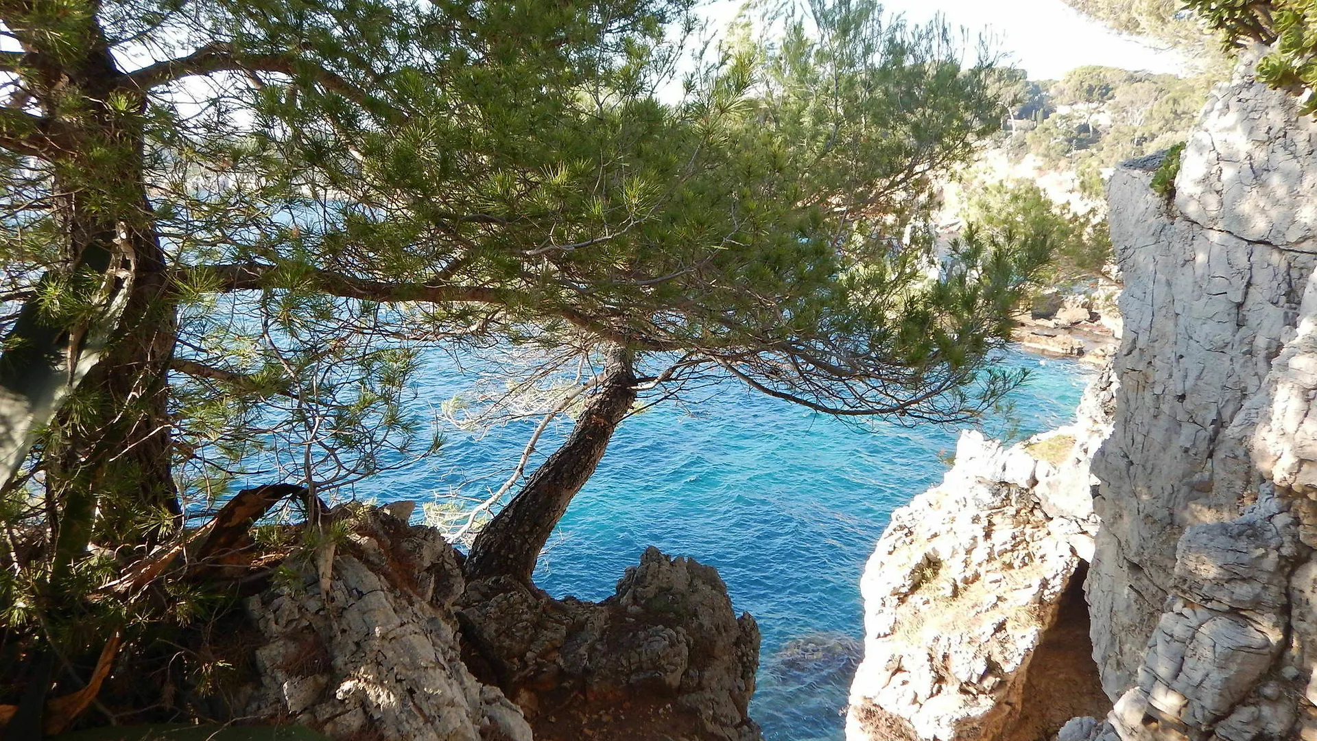 Hotel Miramar- Cap D'Antibes - La Garoupe Plage